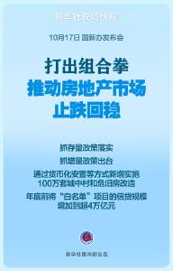 新华视点｜五部门组合拳出招，房地产市场影响几何？ 