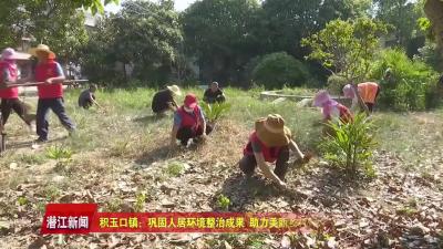 积玉口镇：巩固人居环境整治成果  助力美丽乡村锦上添花