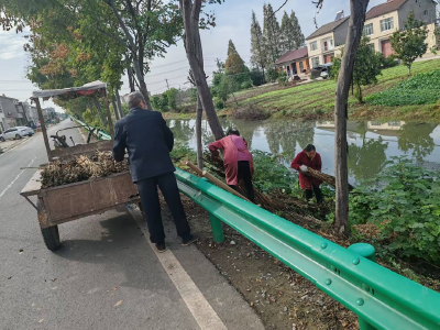 后湖管理区持续开展环境卫生整治活动