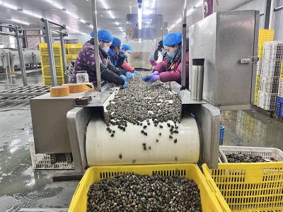 渔洋镇：特色产业点亮乡村振兴致富路