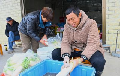 大力发展种植业 带动村民增收致富