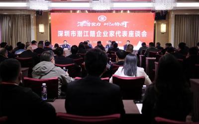 深圳市潜江籍企业家代表座谈会召开
