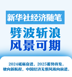 新华社经济随笔：劈波斩浪 风景可期