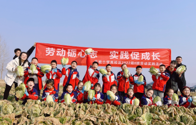 以劳动实践 育成长之花