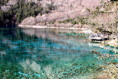 融入成都高铁通勤圈 九寨沟春节出现“淡季高峰”