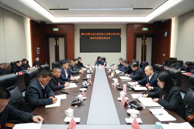 杨勇参加人大分团审议、政协界别（联组）讨论