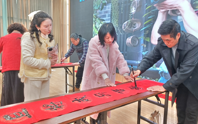 迎春联谊绽华彩 艺术成果映新程