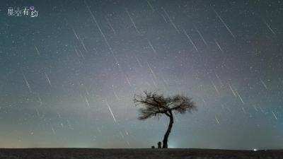 2025年第一场流星雨，来了