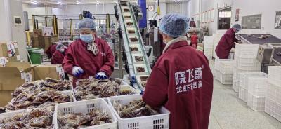 晓飞歌：新春生产忙 勇攀新高峰