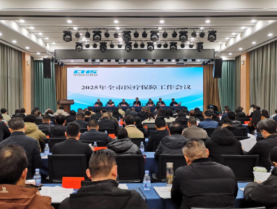 2025年医疗保障⼯作会议召开