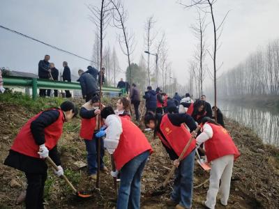 总口管理区：义务植树 共筑绿色美好家园