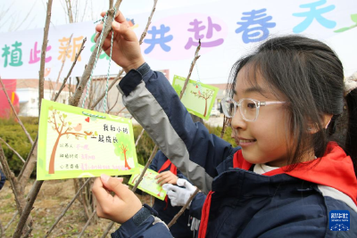 春来植树添新绿