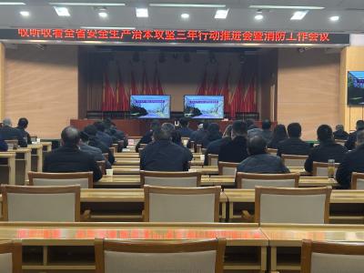 全市安全生产治本攻坚三年行动推进会暨消防工作会议召开
