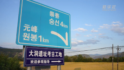 揭秘吉林和龙大洞遗址：旧石器时代的重要见证