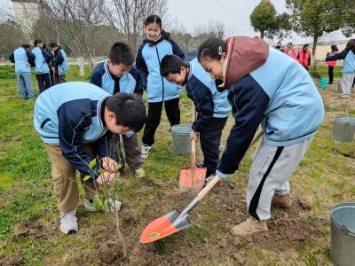 校社携手植新绿 育人护绿谱新篇