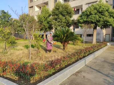 积玉口镇：共建美丽乡镇 共享绿色生活