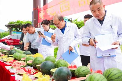 中国人的“吃瓜自由”，底气越来越足 