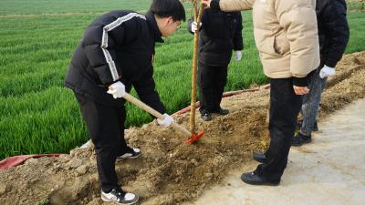 高石碑镇绘就生态新画卷