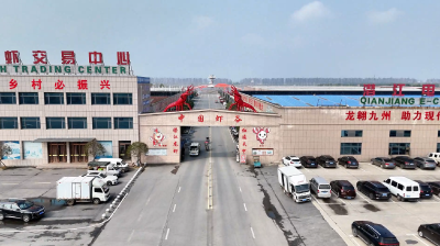 潜网集团：巾帼聚力绽芳华