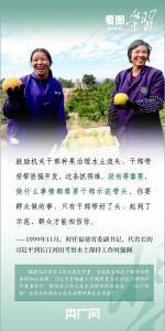 看图学习丨从“焦桐”到“谷树” 总书记强调生态文明建设靠物质也靠精神