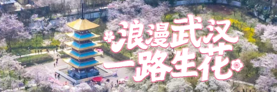 人潮如织，繁花如潮！“马”上赏樱，武汉迎来“樱花黄金周