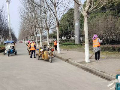 泽口街道：人居环境整治持续发力 赋能全域向“美”而行