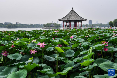 中国之城｜济南：恍若江南，不经意就会邂逅泉水