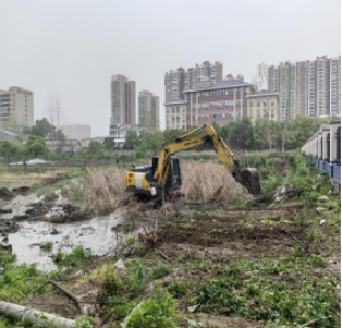 泰丰街道太丰垸社区：“闲置荒地”大变样 “去荒种花”换新颜   