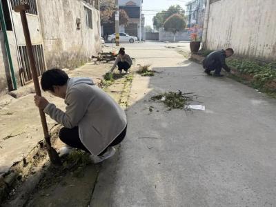 运粮湖管理区开展环境卫生集中整治活动