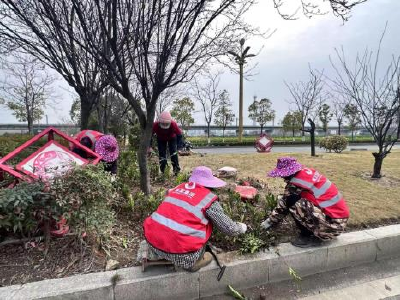 春风化雨添新绿 补植补栽正当时