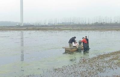 潜江:简单又健康！“有手就会”的🦞🦞🦞好香啊~🥰