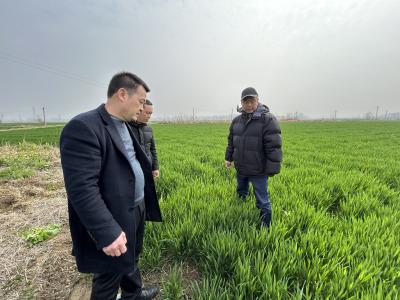 园林街道：田间“把脉”助力小麦丰产丰收