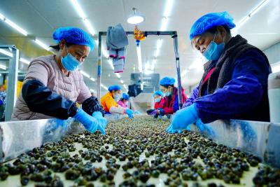 小螺蛳“转”出高新技术企业大能量