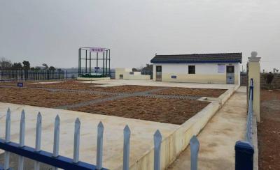 “绿”方法种出“金”果子——枝江市推进循环农业示范区建设