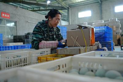 湖北全茂农产品有限公司皮蛋远销澳大利亚