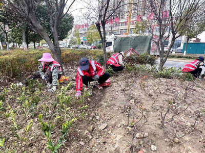 春风化雨添新绿 补植补栽正当时