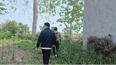 运粮湖管理区开展禁种铲毒全域踏查专项行动