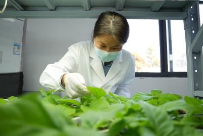 生物工程增效益