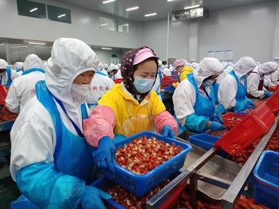 潜江龙虾产销两旺