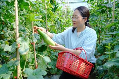 周矶管理区文蓉家庭农场果香引客来