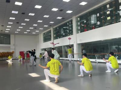 报效祖国 建功西部丨青春舞动非遗梦