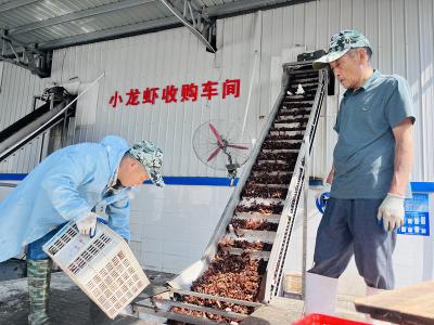 昌贵水产：以创新为翼 领跑小龙虾产业赛道