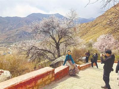 “赏花经济”激发文旅新活力 各地群众吃上“旅游饭” 