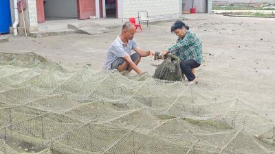 虾农缝补虾笼践行绿色发展理念