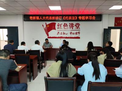 老新镇组织人大代表开展专题学习