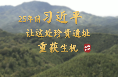 学习·故事丨25年前，习近平让这处珍贵遗址重获生机