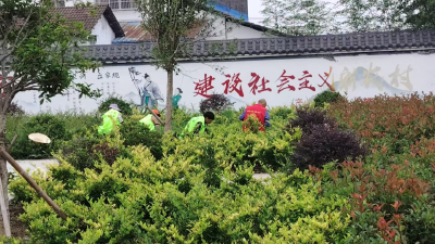 积分换好物！高场街道掀起清洁家园热潮
