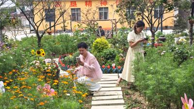 荒地变“共享花园”！熊口管理区居民共建四季花境