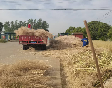 运粮湖管理区：一线精准监督织密秸秆禁烧安全网