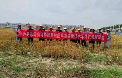 1年，2000万！竹根滩镇农业发生了什么？